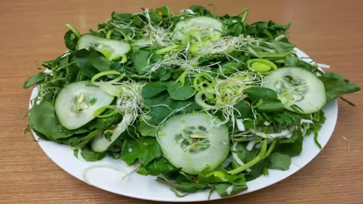 Prato de Salada detox, com todas as dicas e receitas completas estão no Blog Dica Pronta, confira lá. Você vai amar.